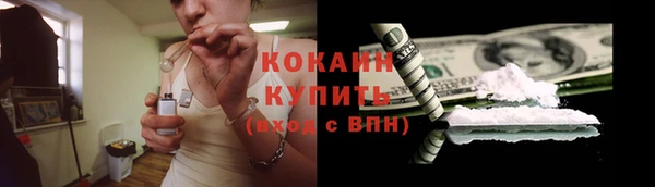 гидра Верхний Тагил