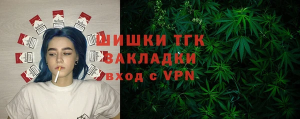 гидра Верхний Тагил