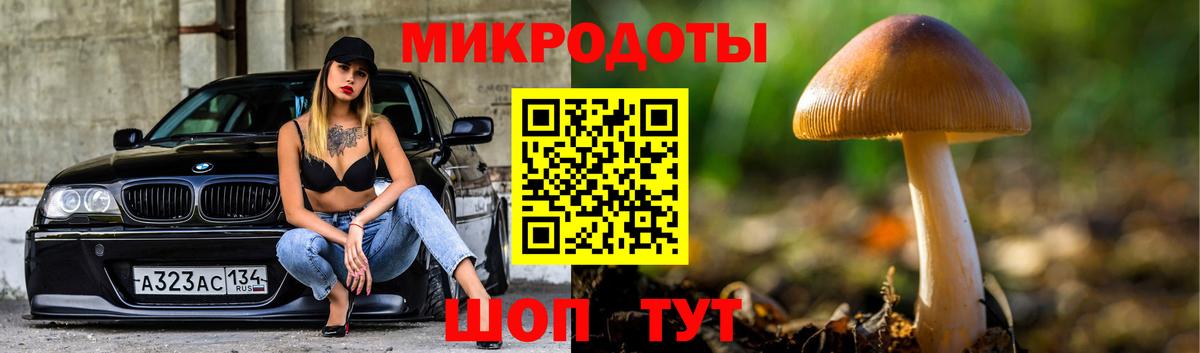 Воркута  Псилоцибиновые грибы прущие грибы  Вход с VPN  Галлюциногенные грибы ЛСД 